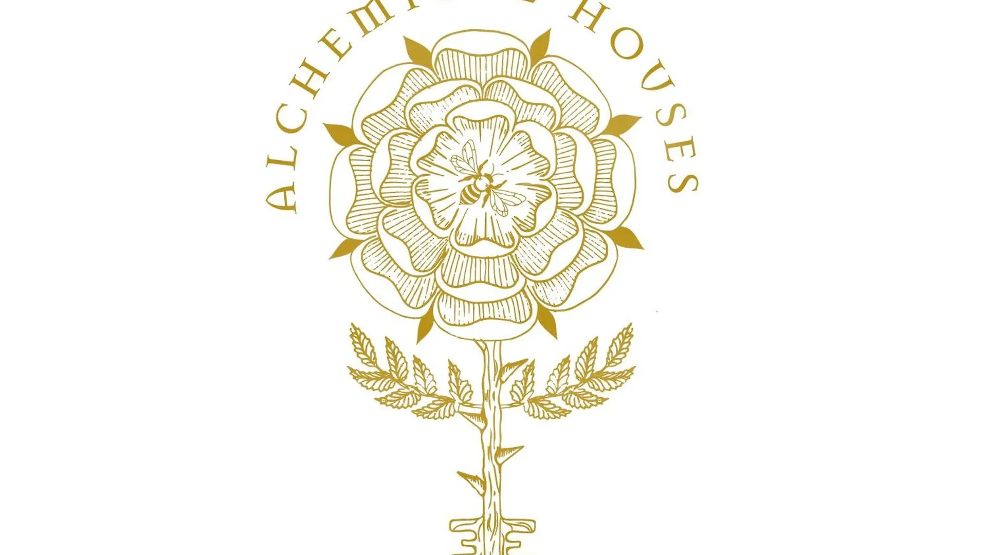 House Of Angels - In The Heart Of Bologna Lejlighed 0*,  Italien